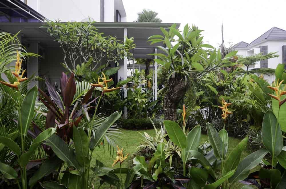 Beluran Serene Guesthouse Tabanan  Exterior photo