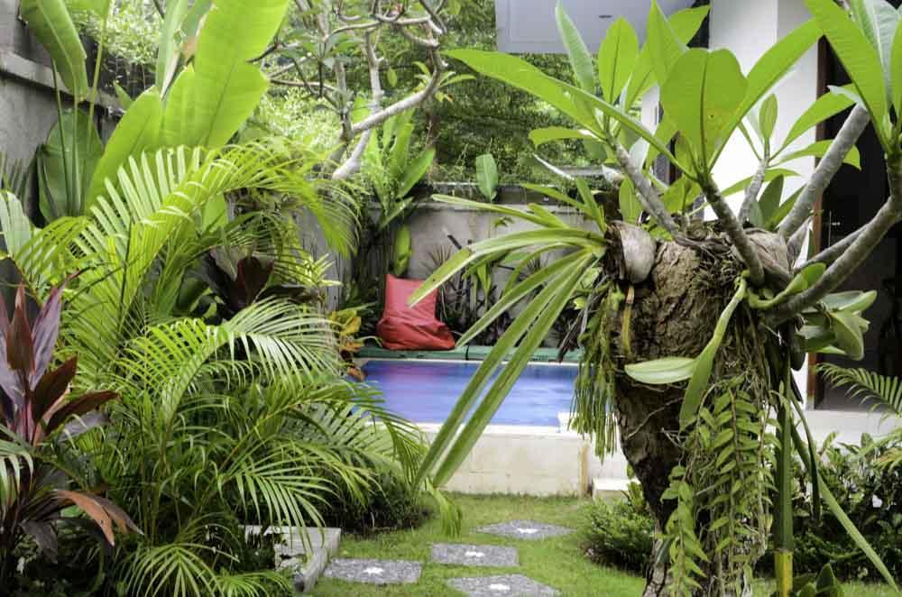 Beluran Serene Guesthouse Tabanan  Exterior photo